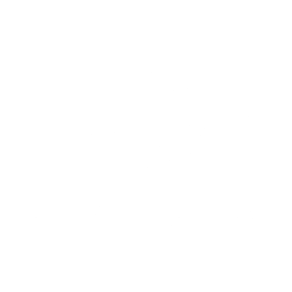 saber style