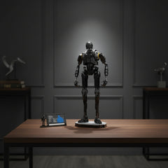 Star Wars  K-2SO Security Droid Set-2