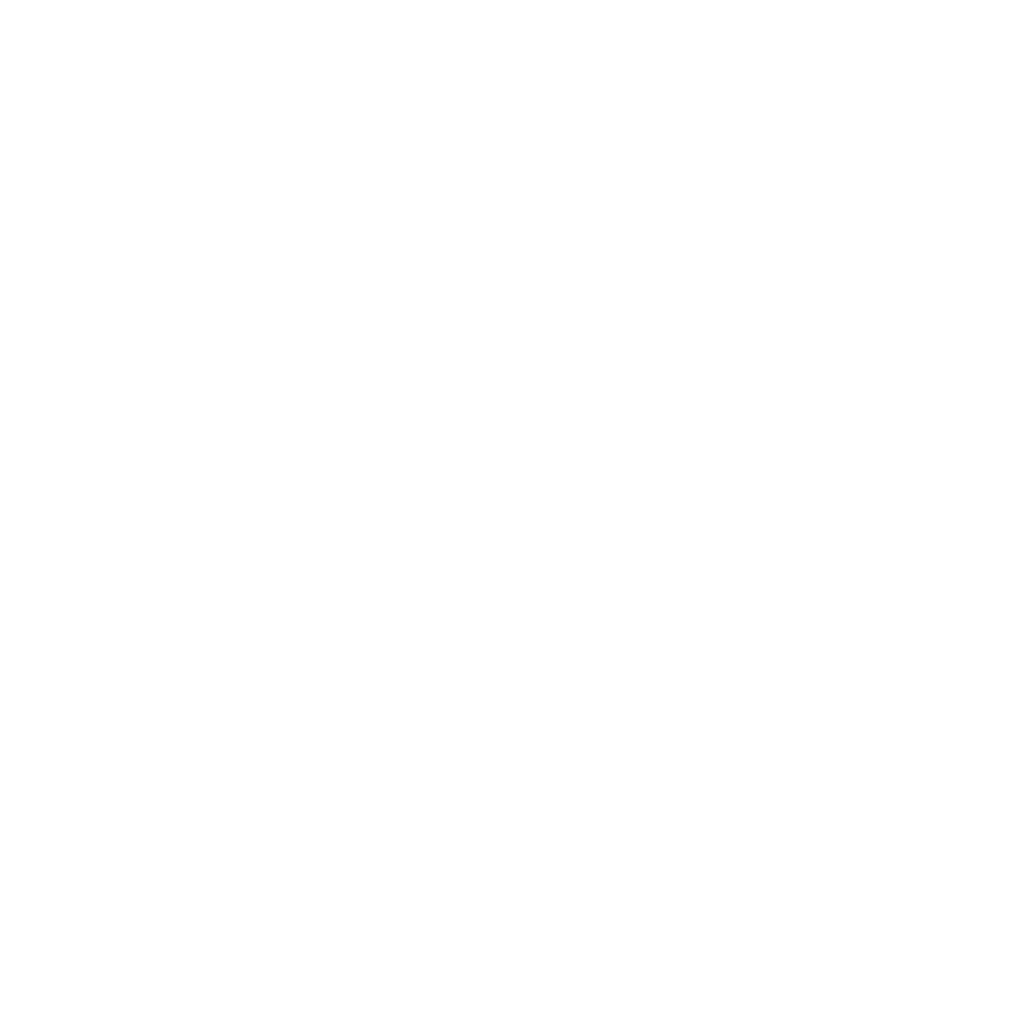 saber style